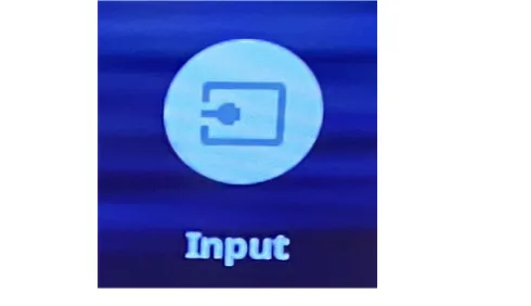input