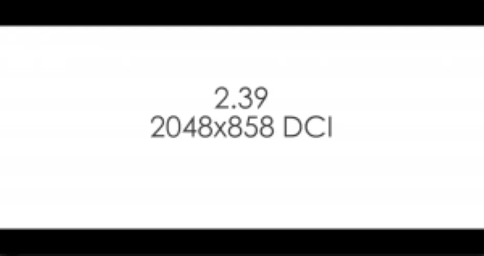 Aspect ratio image for Scope (2.39)